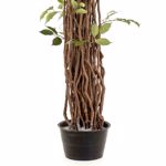 Ficus artificial Benjamina Liana Deluxe - 205 cm 