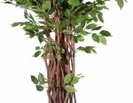 Ficus artificial Benjamina Liana Deluxe - 205 cm 