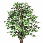 Ficus artificial Benjamina verde-crem cu trunchi natural - 150 cm