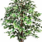 Ficus artificial Benjamina verde-crem cu trunchi natural - 150 cm