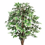 Ficus artificial Benjamina verde-crem cu trunchi natural - 180 cm