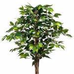 Ficus artificial Benjamina verde cu trunchi natural - 120 cm