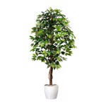 Ficus artificial Benjamina verde cu trunchi natural - 150 cm