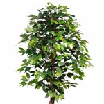 Ficus artificial Benjamina verde cu trunchi natural - 150 cm