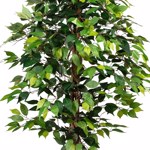 Ficus artificial Benjamina verde cu trunchi natural - 150 cm