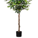 Ficus artificial Benjamina verde cu trunchi natural - 180 cm