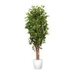 Ficus artificial Benjamina verde cu trunchi natural UV - 150 cm