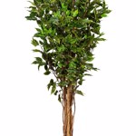 Ficus artificial Benjamina verde cu trunchi natural UV - 150 cm