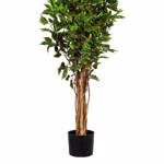 Ficus artificial Benjamina verde cu trunchi natural UV - 150 cm