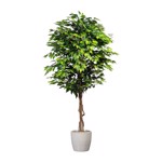 Ficus artificial decorativ Benjamina cu trunchi natural - 180 cm