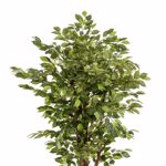 Ficus artificial Deluxe in ghiveci negru din plastic - 170 cm