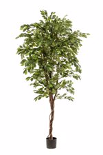 Ficus artificial Deluxe in ghiveci negru din plastic - 200 cm