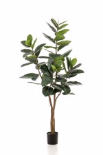 Ficus artificial Elastica in ghiveci negru din plastic - 180 cm