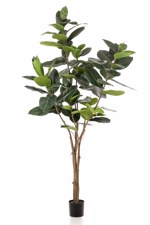 Ficus artificial Elastica in ghiveci negru din plastic - 210 cm