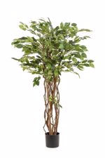Ficus artificial Liana in ghiveci negru din plastic - 140 cm