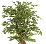Ficus artificial Liana in ghiveci negru din plastic - 170 cm
