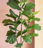 Ficus artificial Lyrata in ghiveci - 120 cm