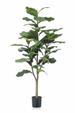 Ficus artificial Lyrata in ghiveci - 120 cm