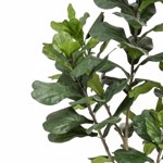Ficus artificial Lyrata in ghiveci - 210 cm