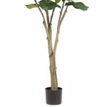 Ficus artificial Lyrata in ghiveci - 210 cm