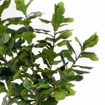 Ficus artificial Lyrata in ghiveci - 300 cm