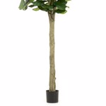 Ficus artificial Lyrata in ghiveci - 300 cm