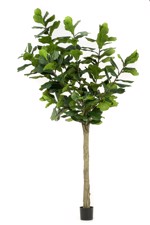 Ficus artificial Lyrata in ghiveci - 300 cm