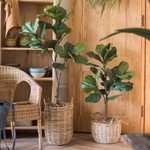 Ficus artificial Lyrata in ghiveci - 90 cm