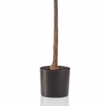 Ficus artificial Lyrata in ghiveci negru din plastic - 155 cm