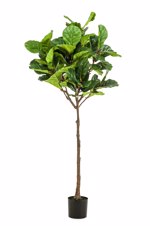 Ficus artificial Lyrata in ghiveci negru din plastic - 195 cm