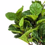 Ficus artificial Lyrata in ghiveci negru din plastic - 195 cm