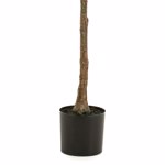 Ficus artificial Lyrata in ghiveci negru din plastic - 195 cm