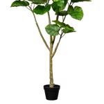 Ficus artificial Umbellata in ghiveci - 175 cm