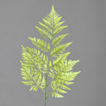 Frunza feriga artificiala verde deschis - 78 cm