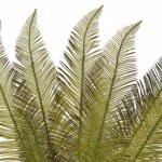 Set x6 frunze artificiale de feriga verde deschis - 60 cm
