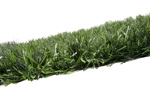 Gard artificial DENSE - 1x3m