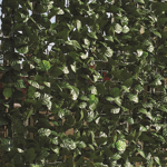 Gard artificial HEDERA - 1x3m