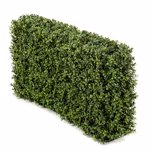 Gard buxus artificial decorativ UV Boxwood - 100x20x50 cm