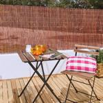 Gard gradina, paravan feriga FERN - 1.5x5m