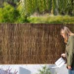 Gard gradina, paravan salcie naturala MULTI - 1x3m