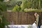 Gard gradina, paravan salcie naturala MULTI - 1x3m