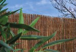 Gard gradina, paravan salcie naturala MULTI - 1x3m