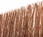 Gard gradina, paravan tije naturale BASIC - 1.5x5m