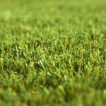 Gazon artificial AITANA 30mm - 2x10m