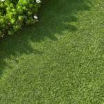 Gazon artificial CALPE 20mm - 2x10m