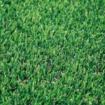 Gazon artificial DENIA 20mm - 2x10m