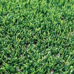 Gazon artificial DENIA 30mm - 2x20m