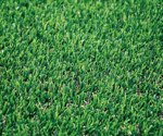 Gazon artificial DENIA 50mm - 2x10m