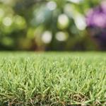 Gazon artificial NEW PIAZZA 40mm - 2x20m