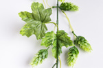 Ghirlanda hamei artificial verde-crem - 180 cm
